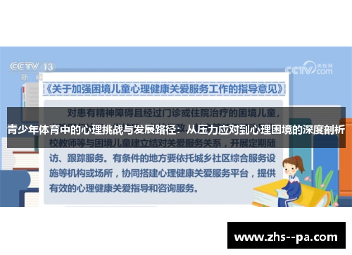 青少年体育中的心理挑战与发展路径：从压力应对到心理困境的深度剖析